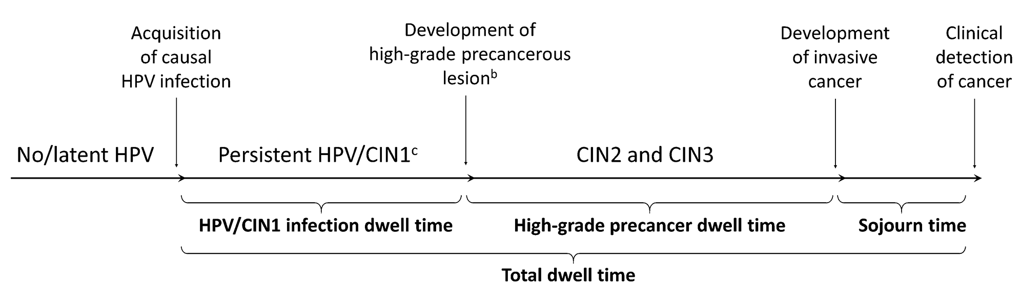 Figure 1 outlines the natural history of the human papillomavirus (HPV) to induced cervical cancer (CC) pathway.  This pathway is not directly observable, yet the age of HPV acquisition and duration of preclinical disease (dwell time) impacts the effectiveness of prevention policies.  Dwell time is shown in the diagram as the time from acquisition of a causal HPV infection to the clinical detection of cancer.