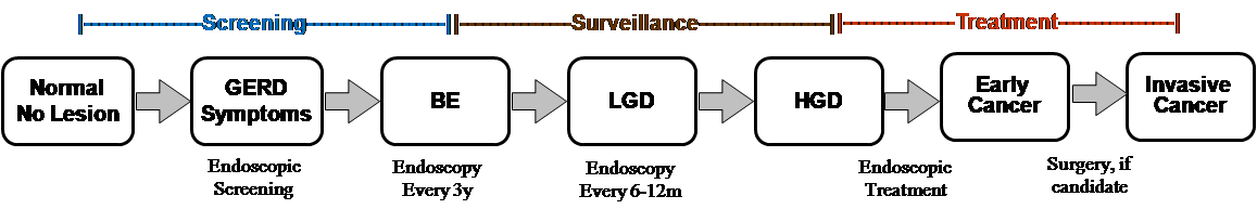 The figure shows the health states in the CISNET models as EAC progresses through natural history to Barretts Esophagus (BE), through Low and High Grade Dysplasia, and finally to cancer.  Overlaid upon the health states are the phases of cancer care from screening, to surveillance, and to treatment of early and invasive cancers.  Additionally, potential clinical interventions are outlined in each treatment phase.  For example, if an individual has GERD symptoms they are eligible for endoscopic screening; individuals with BE have an endoscopy every three years; surveillance efforts for individuals with low or high grade dysplasia have endoscopies more frequently; finally endoscopic treatment and surgery may be offered in the treatment phase.