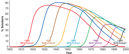 Graph showing the smoking history of the U.S. white male population