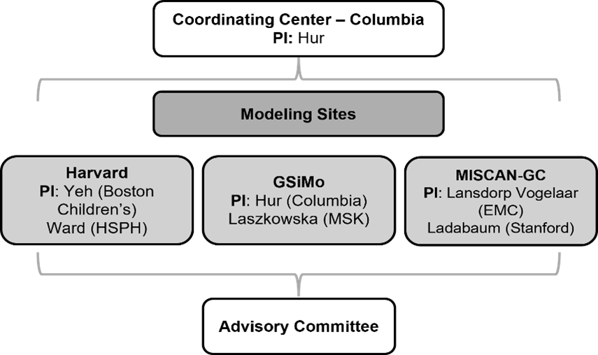 Grapic showing the organization of the CISNET Gastric group