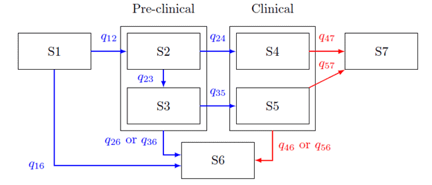 State transition diagram for natural history model