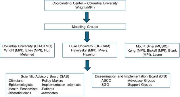 Grapic showing structure of the CISNET Uterine Group